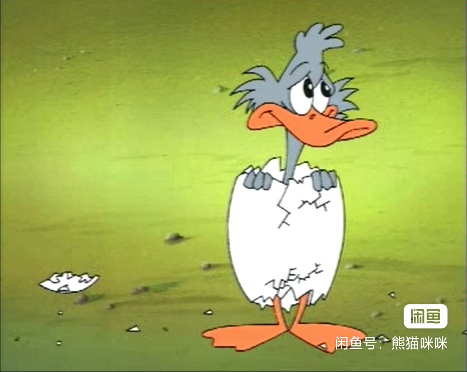 快点回家-动画天地要来不及了